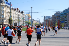 ウィーン国際マラソンの様子